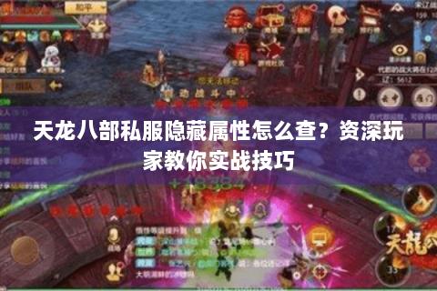 天龙八部私服隐藏属性怎么查？资深玩家教你实战技巧