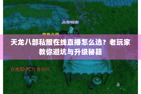 天龙八部私服在线直播怎么选？老玩家教你避坑与升级秘籍