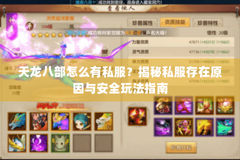 天龙八部怎么有私服？揭秘私服存在原因与安全玩法指南