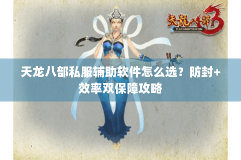 天龙八部私服辅助软件怎么选？防封+效率双保障攻略
