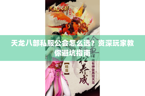 天龙八部私服公会怎么选？资深玩家教你避坑指南