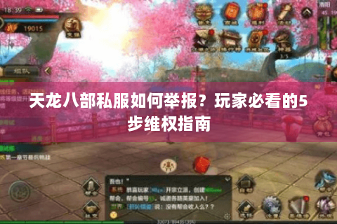 天龙八部私服如何举报？玩家必看的5步维权指南