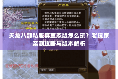 天龙八部私服真变态版怎么玩？老玩家亲测攻略与版本解析