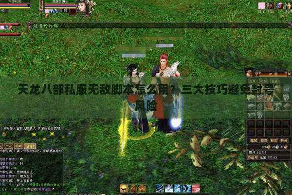 天龙八部私服无敌脚本怎么用？三大技巧避免封号风险
