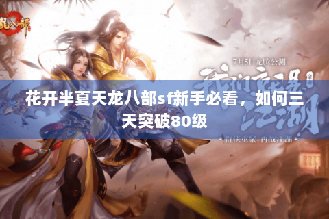 花开半夏天龙八部sf新手必看，如何三天突破80级