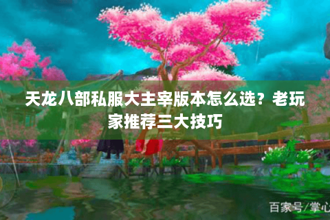 天龙八部私服大主宰版本怎么选？老玩家推荐三大技巧