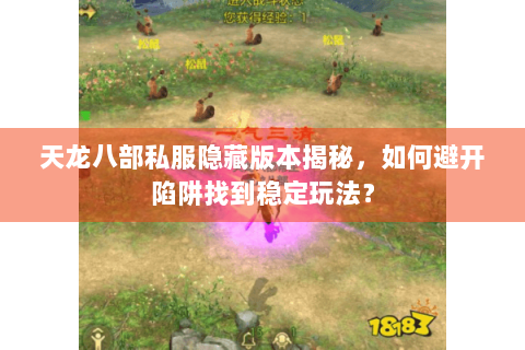 天龙八部私服隐藏版本揭秘，如何避开陷阱找到稳定玩法？