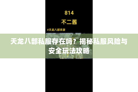天龙八部私服存在吗？揭秘私服风险与安全玩法攻略