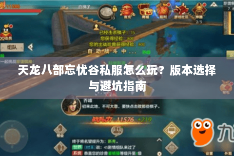 天龙八部忘忧谷私服怎么玩？版本选择与避坑指南