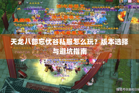 天龙八部忘忧谷私服怎么玩？版本选择与避坑指南