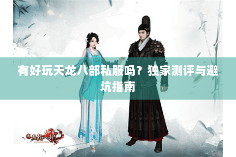 有好玩天龙八部私服吗？独家测评与避坑指南