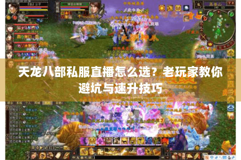 天龙八部私服直播怎么选？老玩家教你避坑与速升技巧