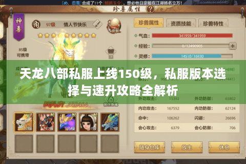 天龙八部私服上线150级，私服版本选择与速升攻略全解析