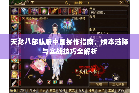 天龙八部私服中国操作指南，版本选择与实战技巧全解析