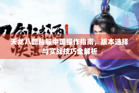 天龙八部私服中国操作指南，版本选择与实战技巧全解析