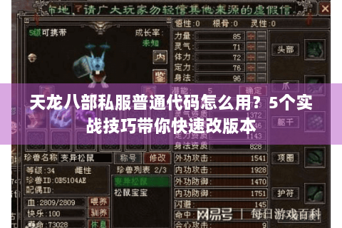 天龙八部私服普通代码怎么用？5个实战技巧带你快速改版本