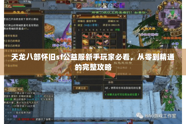 天龙八部怀旧sf公益服新手玩家必看，从零到精通的完整攻略