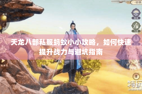 天龙八部私服蚂蚁小小攻略，如何快速提升战力与避坑指南