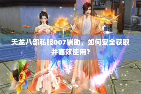天龙八部私服007辅助，如何安全获取并高效使用？
