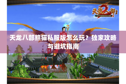 天龙八部熊猫私服版怎么玩？独家攻略与避坑指南