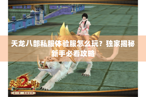 天龙八部私服体验服怎么玩？独家揭秘新手必看攻略
