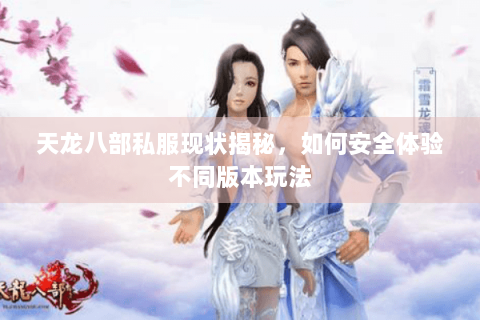天龙八部私服现状揭秘，如何安全体验不同版本玩法