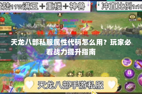天龙八部私服属性代码怎么用？玩家必看战力提升指南