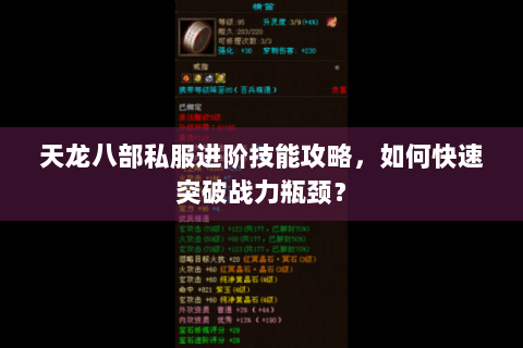天龙八部私服进阶技能攻略，如何快速突破战力瓶颈？