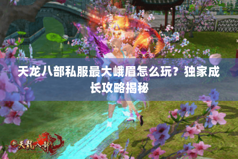 天龙八部私服最大峨眉怎么玩？独家成长攻略揭秘