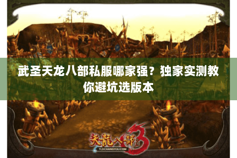 武圣天龙八部私服哪家强？独家实测教你避坑选版本