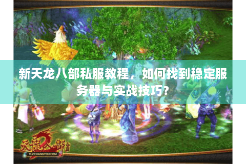 新天龙八部私服教程，如何找到稳定服务器与实战技巧？