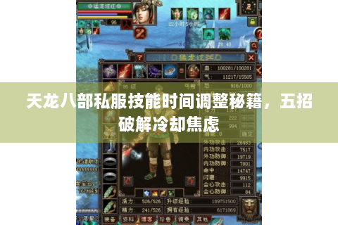 天龙八部私服技能时间调整秘籍，五招破解冷却焦虑