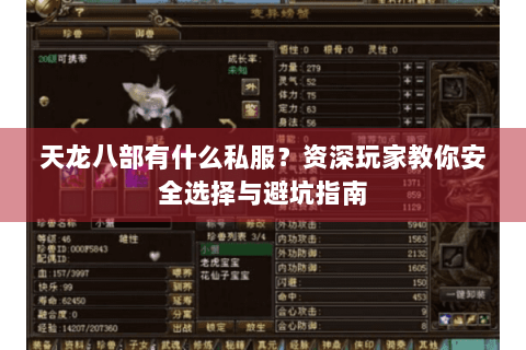 天龙八部有什么私服？资深玩家教你安全选择与避坑指南