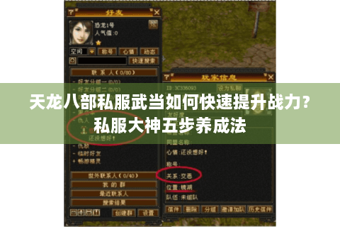 天龙八部私服武当如何快速提升战力？私服大神五步养成法