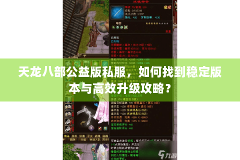 天龙八部公益版私服，如何找到稳定版本与高效升级攻略？