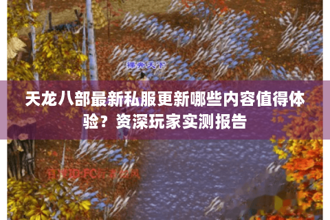 天龙八部最新私服更新哪些内容值得体验？资深玩家实测报告