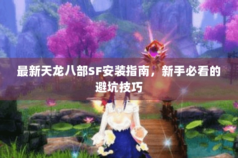 最新天龙八部SF安装指南，新手必看的避坑技巧