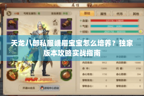 天龙八部私服峨眉宝宝怎么培养？独家版本攻略实战指南