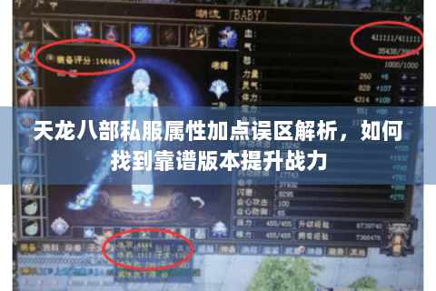 天龙八部私服属性加点误区解析，如何找到靠谱版本提升战力