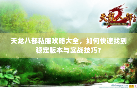 天龙八部私服攻略大全，如何快速找到稳定版本与实战技巧？