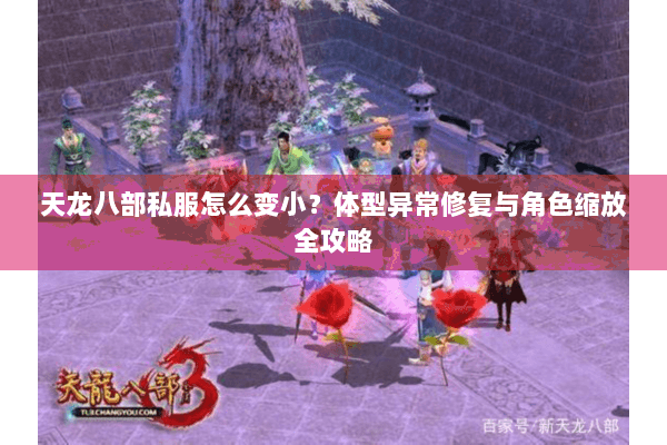 天龙八部私服怎么变小？体型异常修复与角色缩放全攻略