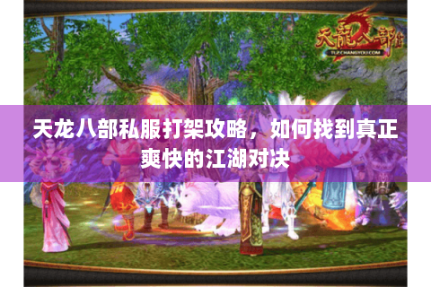 天龙八部私服打架攻略，如何找到真正爽快的江湖对决