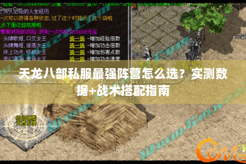 天龙八部私服最强阵营怎么选？实测数据+战术搭配指南