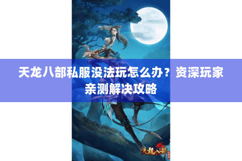 天龙八部私服没法玩怎么办？资深玩家亲测解决攻略