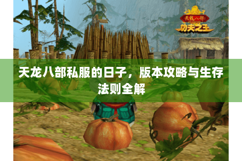 天龙八部私服的日子，版本攻略与生存法则全解