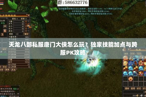 天龙八部私服唐门大侠怎么玩？独家技能加点与跨服PK攻略