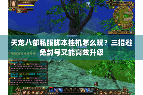 天龙八部私服脚本挂机怎么玩？三招避免封号又能高效升级