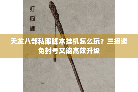 天龙八部私服脚本挂机怎么玩？三招避免封号又能高效升级