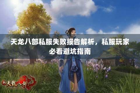 天龙八部私服失败报告解析，私服玩家必看避坑指南