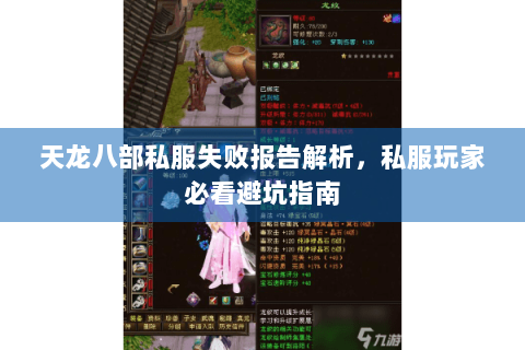 天龙八部私服失败报告解析，私服玩家必看避坑指南